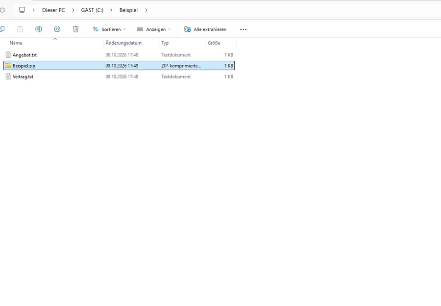 Explorer: neue Datei Beispiel.zip